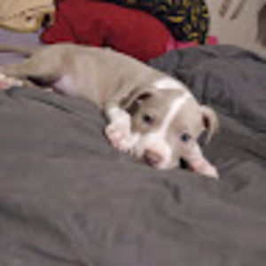 Meet your Posher, Steve